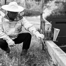 Lade das Bild in den Galerie-Viewer, HONIGHASE